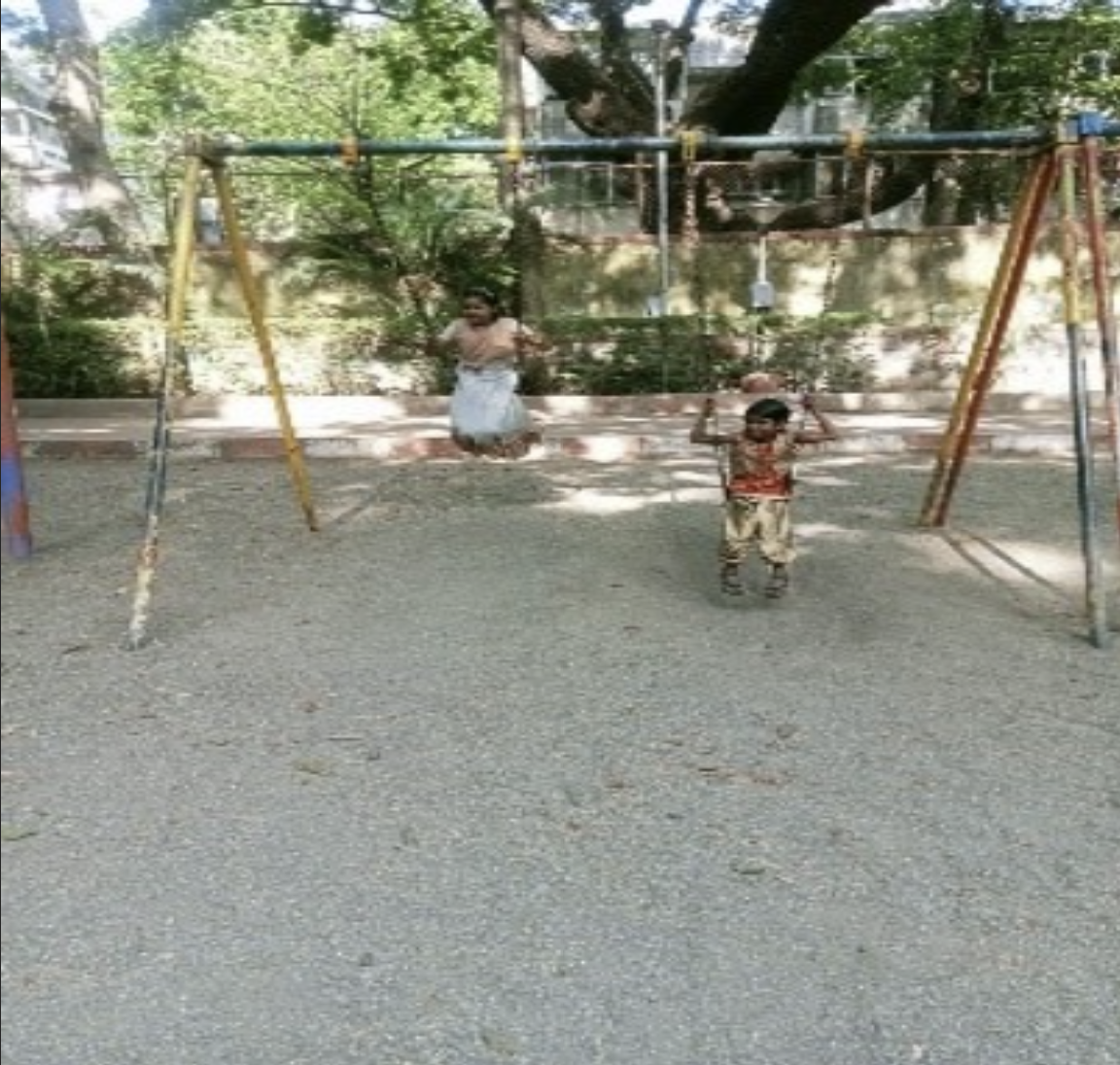 Picnic 